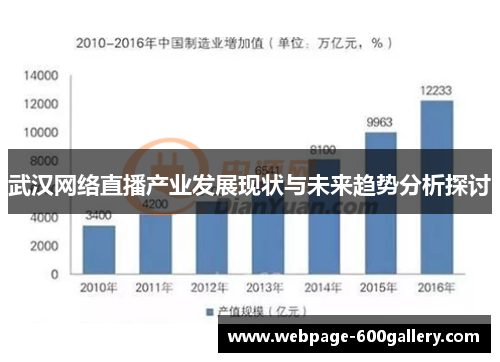 武汉网络直播产业发展现状与未来趋势分析探讨