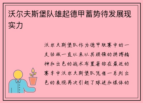 沃尔夫斯堡队雄起德甲蓄势待发展现实力